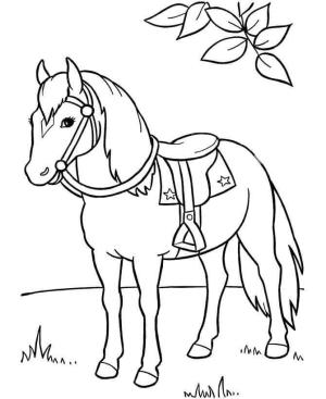 At boyama sayfası, Horse coloring page, Müthiş At, 