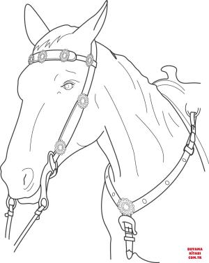 At boyama sayfası, Horse coloring page, , horses horse head 