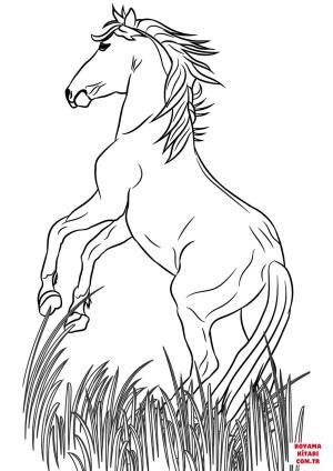 At boyama sayfası, Horse coloring page, , horses mustang 