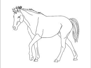 At boyama sayfası, Horse coloring page, Kusursuz At, 