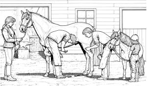 At boyama sayfası, Horse coloring page, , horses horse and pony 