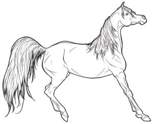 At boyama sayfası, Horse coloring page, Inanılmaz At, 