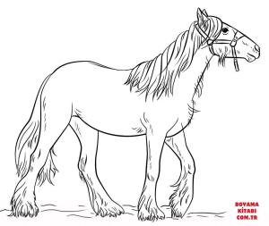 At boyama sayfası, Horse coloring page, , horses gypsy vanner 