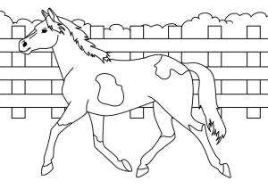 At boyama sayfası, Horse coloring page, At Koşusu, 