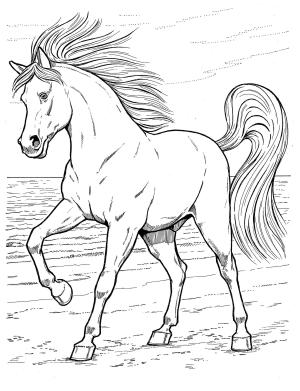 At boyama sayfası, Horse coloring page, İyi At, 