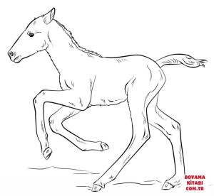 At boyama sayfası, Horse coloring page, , horses cute running foal 