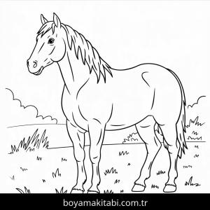Atlar boyama sayfası – basit çizim, kolay boyama