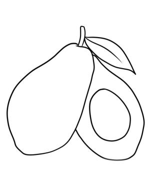 Avokado boyama sayfası,  coloring page, avokado 8, 