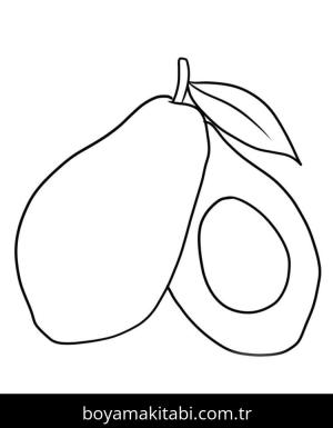 Avokado boyama sayfası 50285,  coloring page, 