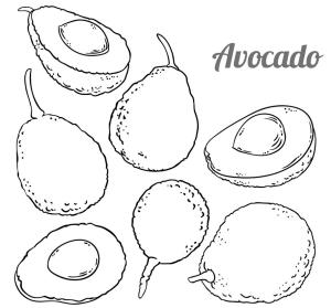 Avokado boyama sayfası,  coloring page, avokado 15, 