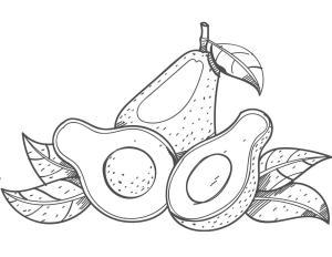 Avokado boyama sayfası,  coloring page, avokado 14, 