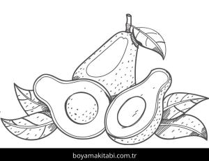 Avokado boyama sayfası 50312,  coloring page, 