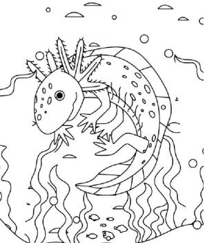 Axolotl boyama sayfası,  coloring page, Benekli aksolotl boyama kitabı., 