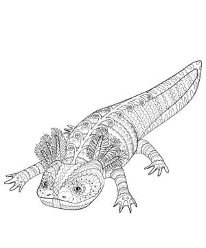 Axolotl boyama sayfası,  coloring page, Güzel renkleriyle Axolotl., 