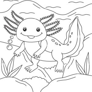 Axolotl boyama sayfası,  coloring page, Axolotl rezervuarın dibinde yürüyor., 