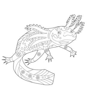 Axolotl boyama sayfası,  coloring page, Güzel renkli aksolotl, 