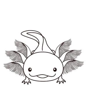 Axolotl boyama sayfası,  coloring page, Güzel solungaçlı aksolotl, 