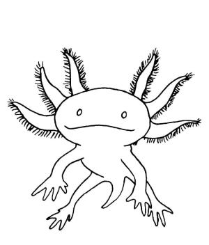 Axolotl boyama sayfası,  coloring page, Boyama kitabı komik Axolotl., 