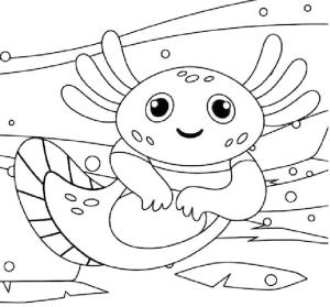 Axolotl boyama sayfası,  coloring page, Bir göletin dibinde dinlenen aksolotl, 