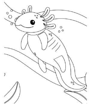 Axolotl boyama sayfası,  coloring page, Axolotl akvaryum boyama kitabında., 