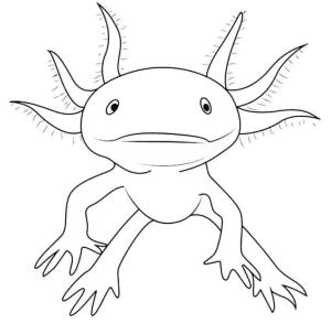 Axolotl boyama sayfası,  coloring page, Çılgın Axolotl boyama kitabı, 