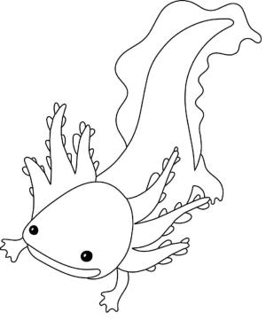 Axolotl boyama sayfası,  coloring page, Sucul Axolotl., 