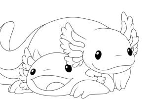 Axolotl boyama sayfası,  coloring page, Bir çift aksolotl, 