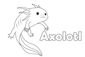 Axolotl boyama sayfası,  coloring page, Axolotl boyama sayfası. 1, 