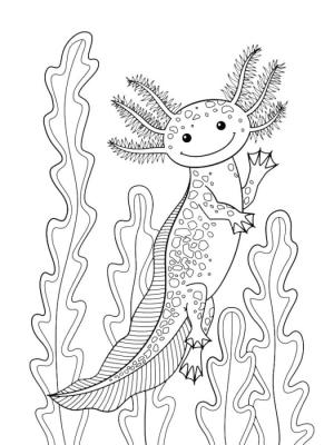 Axolotl boyama sayfası,  coloring page, Deniz yosunları arasında sevimli aksolotl, 