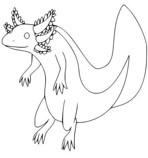 Axolotl boyama sayfası,  coloring page, İlginç solungaçlı aksolotl, 