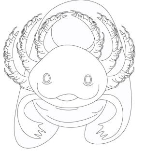 Axolotl boyama sayfası,  coloring page, Muhteşem solungaçlı Axolotl., 