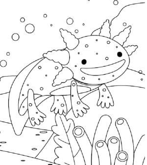 Axolotl boyama sayfası,  coloring page, Göletteki aksolotl boyama sayfası, 