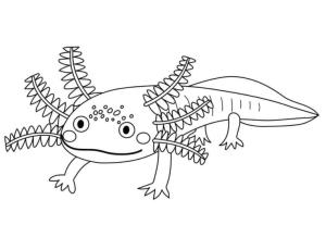 Axolotl boyama sayfası,  coloring page, Komik suratlı Axolotl, 