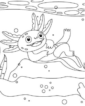 Axolotl boyama sayfası,  coloring page, Aksolotl sırt üstü yatar., 