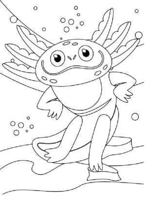 Axolotl boyama sayfası,  coloring page, Axolotl poz veriyor, 