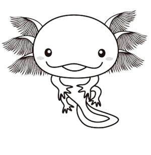 Axolotl boyama sayfası,  coloring page, Harika Axolotl, 