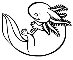 Axolotl boyama sayfası,  coloring page, Büyük aksolotl., 