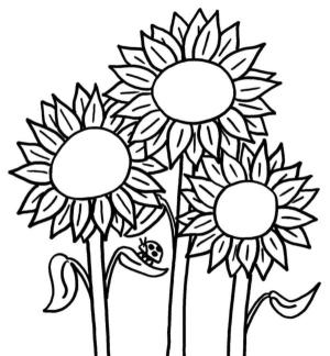 Ayçiçeği boyama sayfası,  coloring page, Uğur böceği bir yaprağın üzerinde geziniyor., 