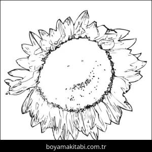 Ayçiçeği boyama sayfası – sanatsal çalışma, çocuklar için