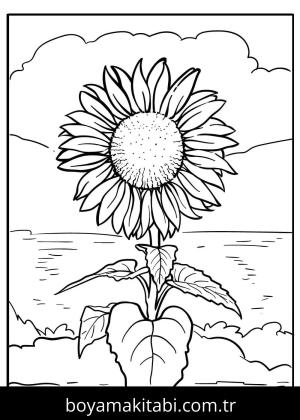 Ayçiçeği boyama sayfası – sanatsal çalışma, çocuklar için