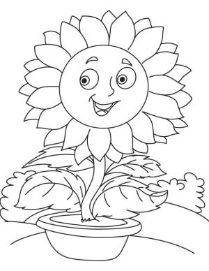 Ayçiçeği boyama sayfası,  coloring page, Pencere kenarındaki saksıda bir ayçiçeği büyüyor, 