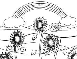 Ayçiçeği boyama sayfası,  coloring page, Ayçiçekleri gökkuşağına ulaşmaya çalışıyor, 