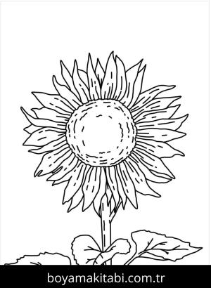 Ayçiçeği boyama sayfası – evde etkinlik, ücretsiz yazdır