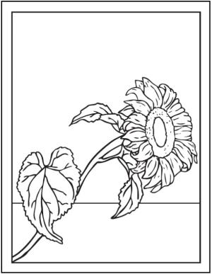 Ayçiçeği boyama sayfası,  coloring page, Solmuş ayçiçeği., 