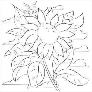 Ayçiçeği boyama sayfası,  coloring page, Uzun sıradışı çiçek, 