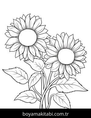 Ayçiçeği Boyama