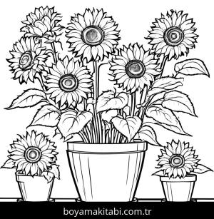 Ayçiçeği boyama sayfası,  coloring page, detaylı, şekilli, çizgi