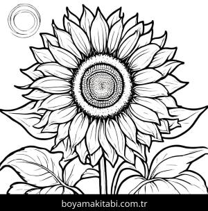Ayçiçeği boyama sayfası,  coloring page, karakterli, mutlu, çerçeveli