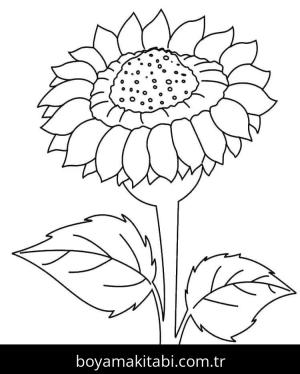 Ayçiçeği boyama sayfası 50325,  coloring page, 