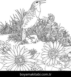 Ayçiçeği boyama sayfası – sevimli karakter, sanatsal çalışma